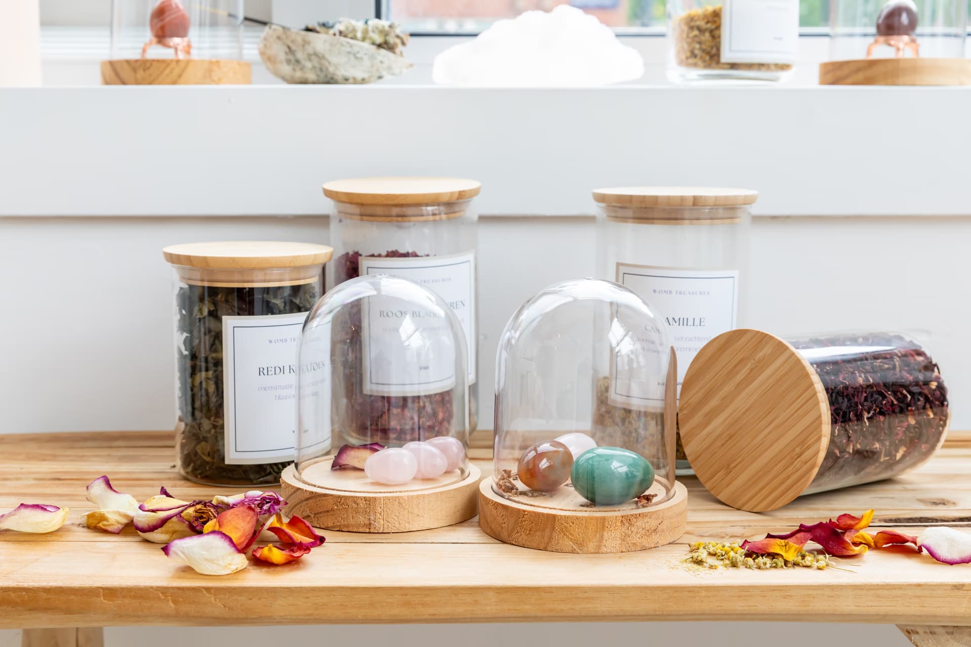 Algemene Voorwaarden